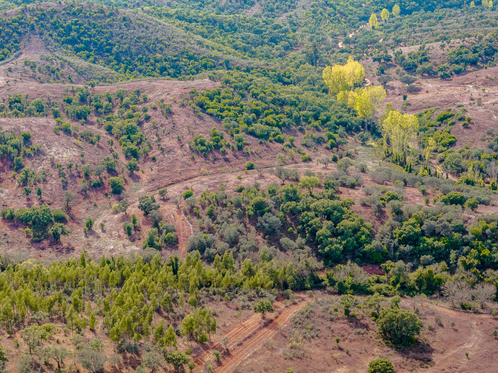Land in Grândola — photograph 2