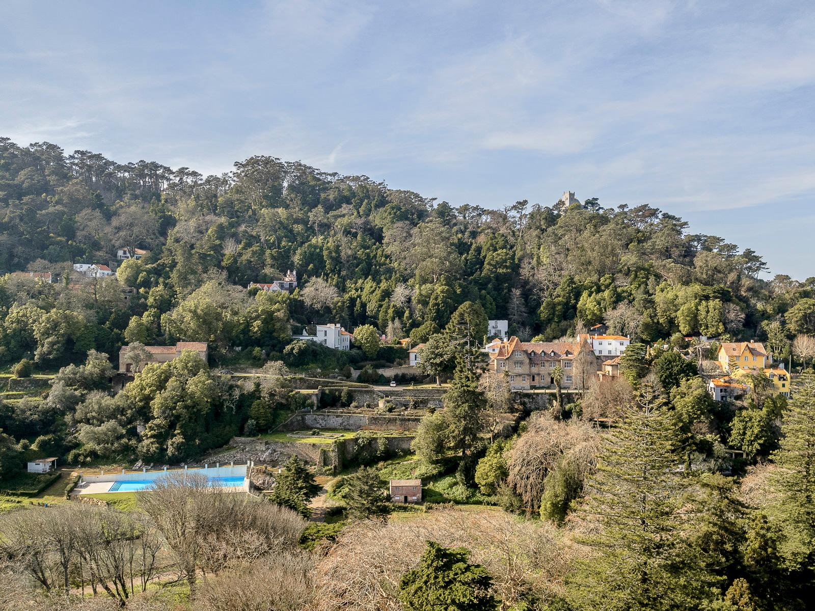 Farm in Sintra — photograph 5