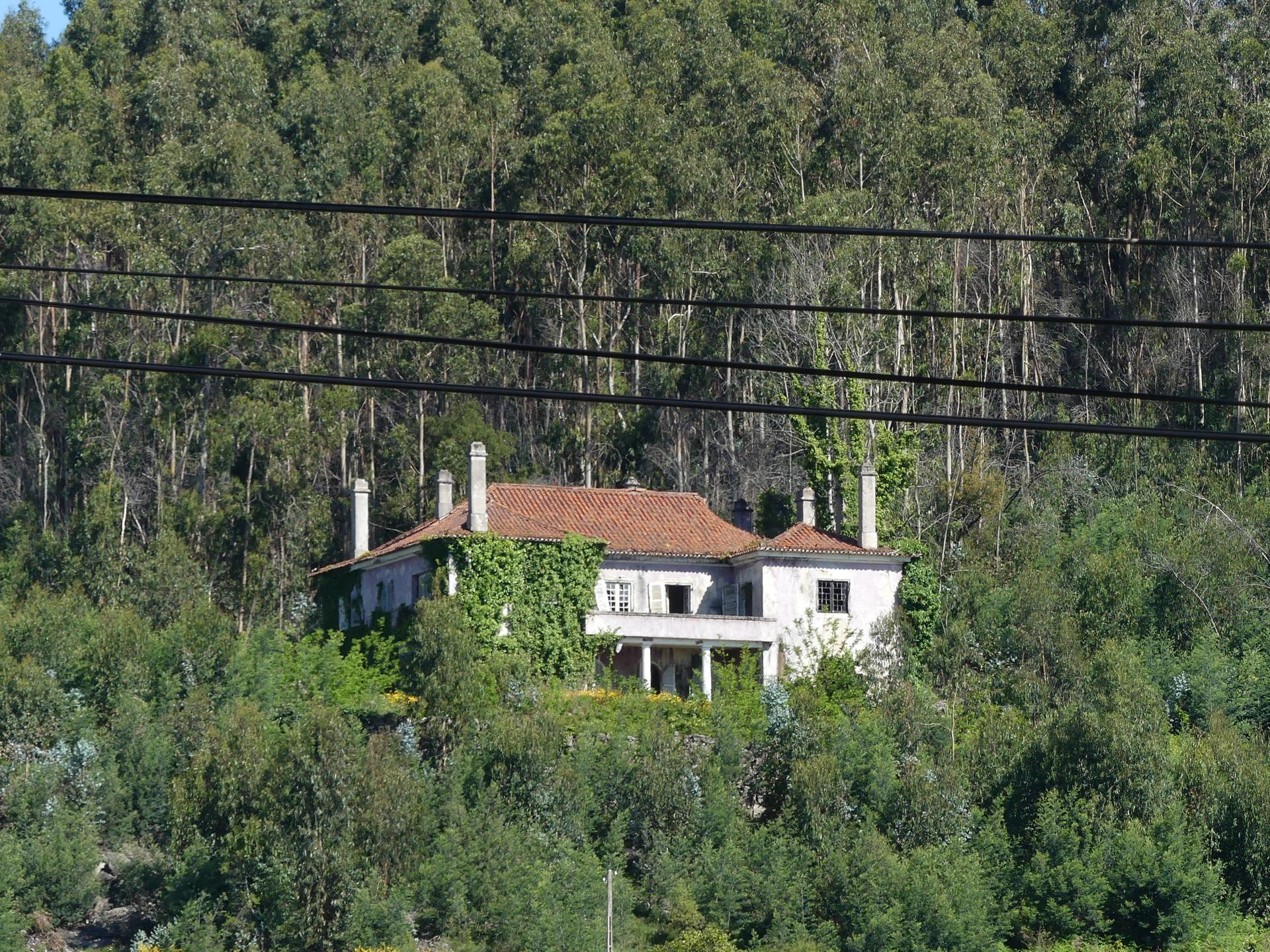 Farm in Barcelos — photograph 2