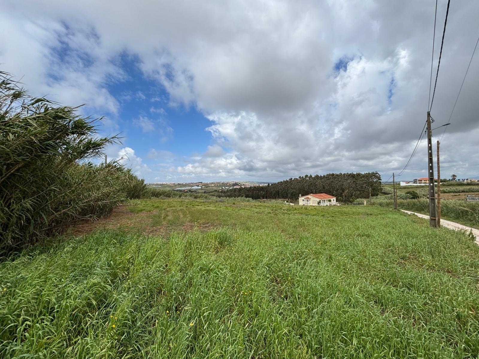 Land in Santa Cruz, Torres Vedras — photograph 4