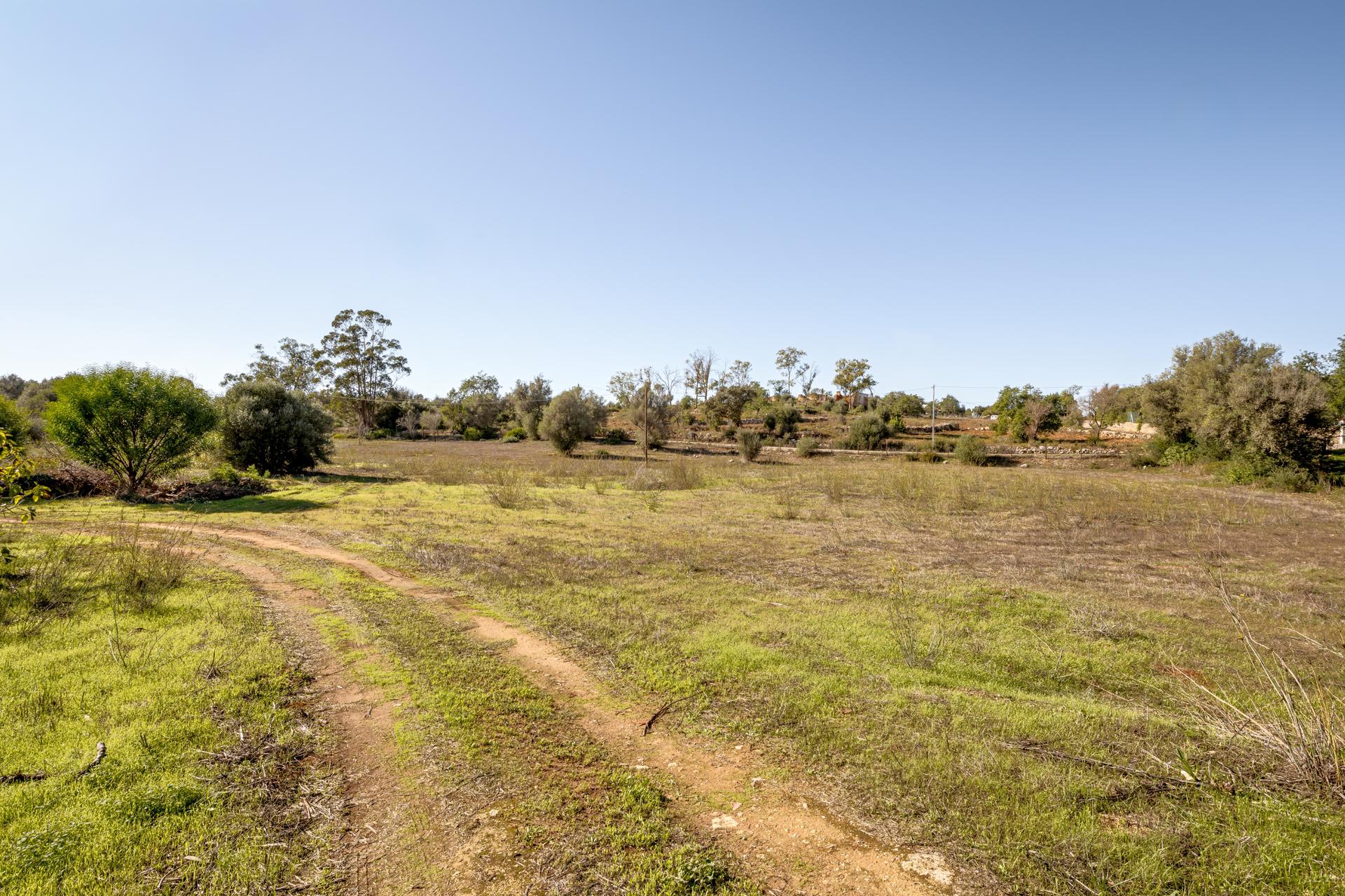Land in Silves — photograph 5