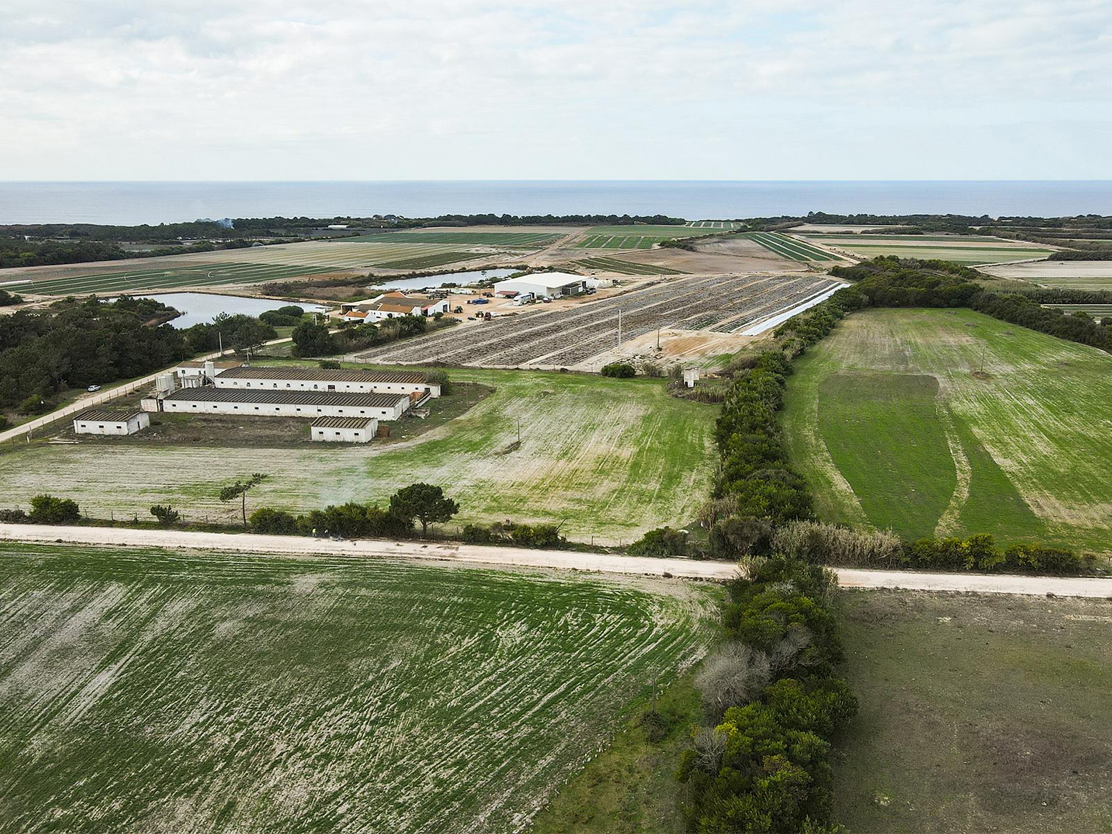 Country Estate in Odeceixe, Aljezur — photograph 2