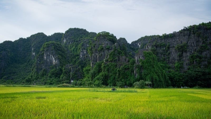 Complete Investor Guide to Vietnamese Property