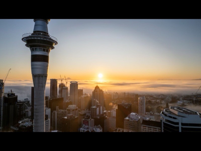Ponsonby / Grey Lynn